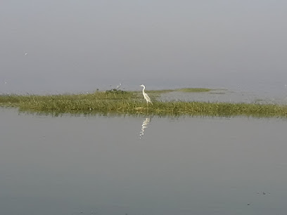 Soham Tours And Travels